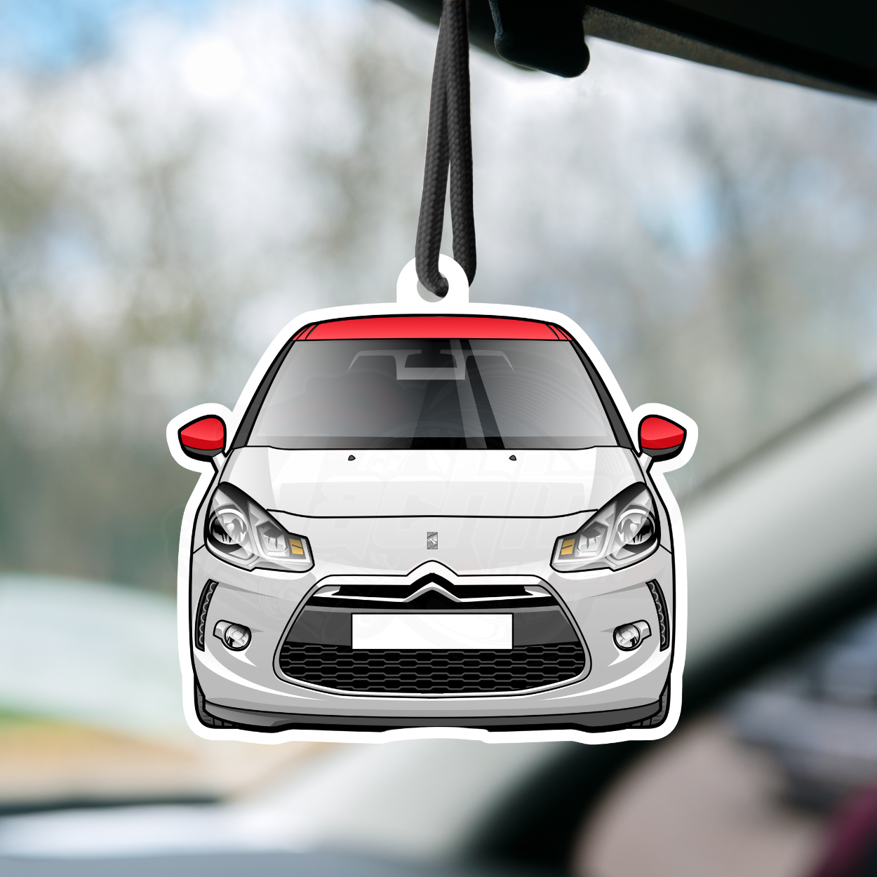 DS3