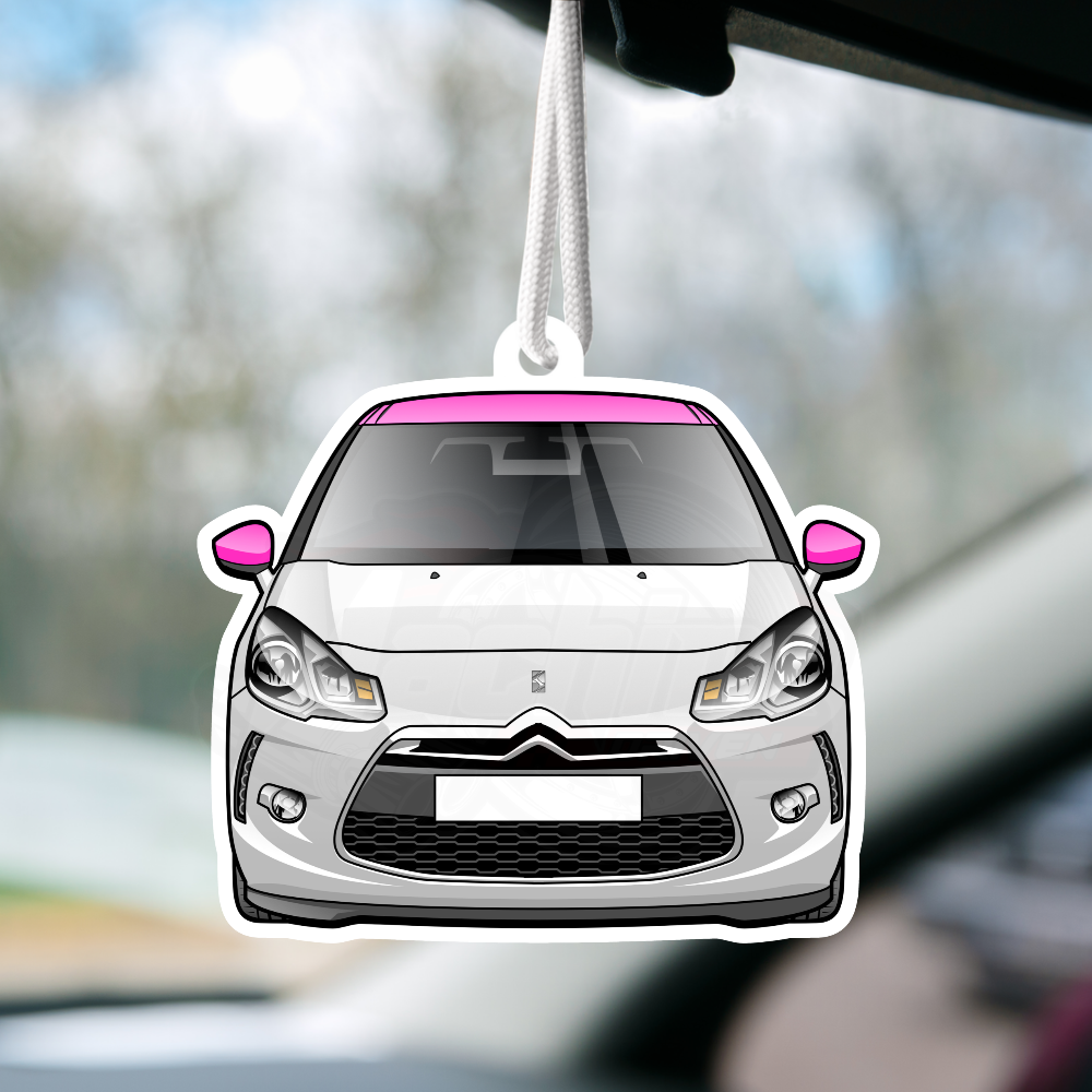 DS3