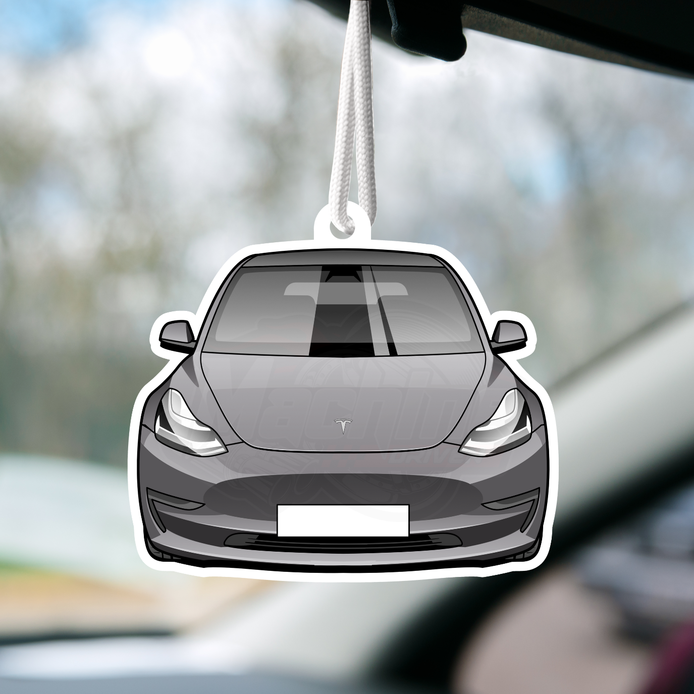 Model 3